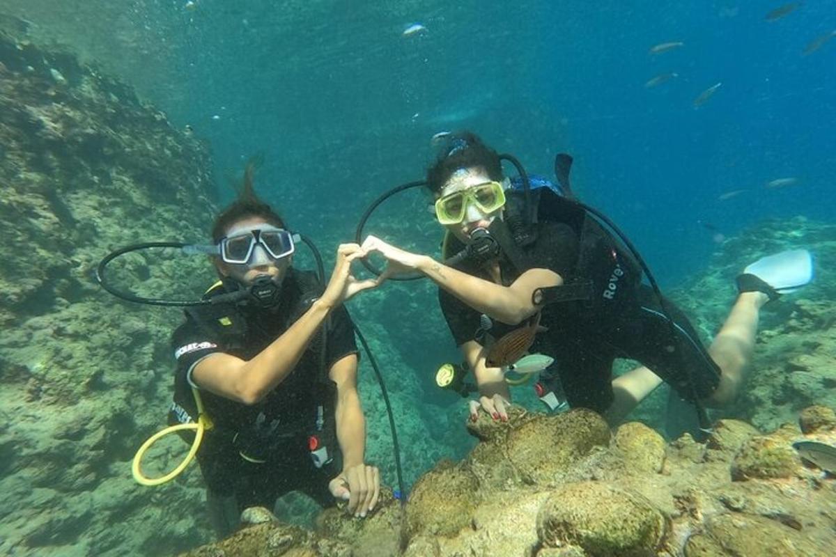 dua orang di dalam air dengan peralatan menyelam
