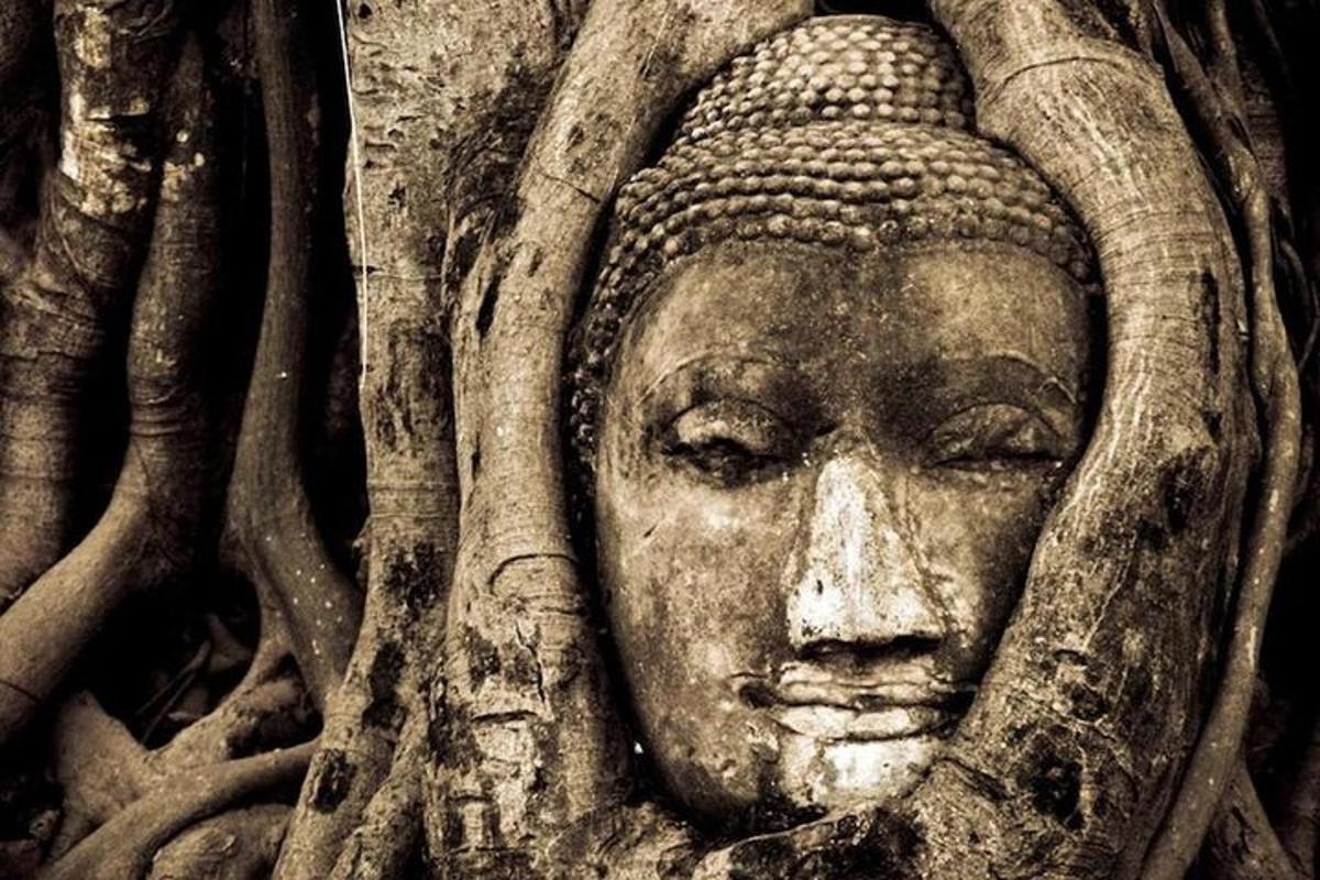 una estatua de una cabeza rodeada de árboles