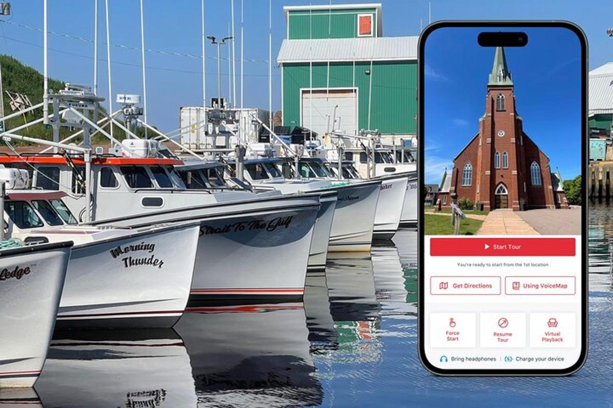 an image of boats docked at a marina