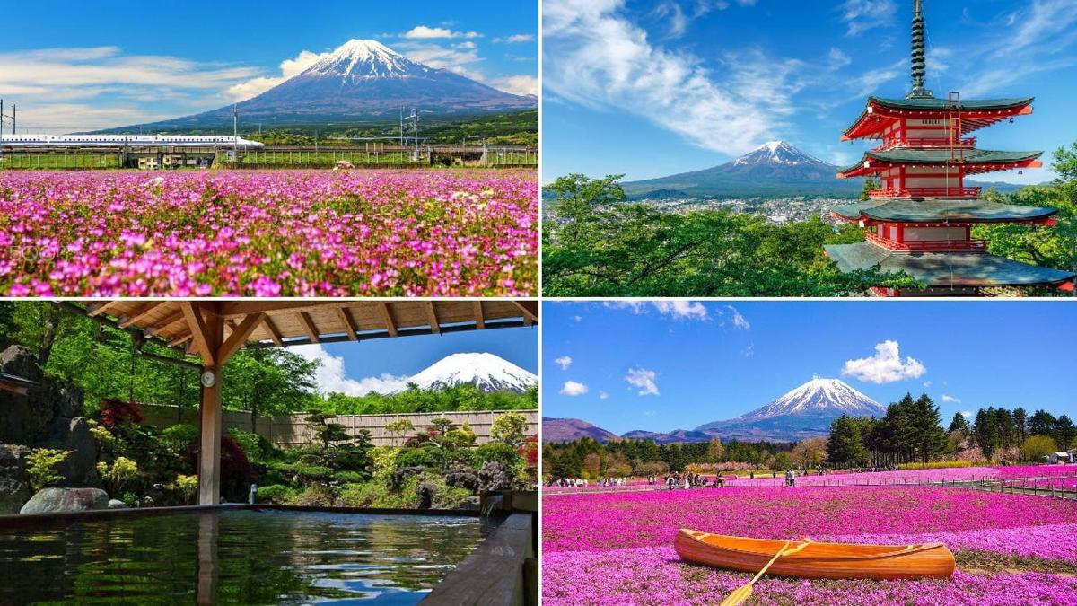 花と山の写真のコラージュ