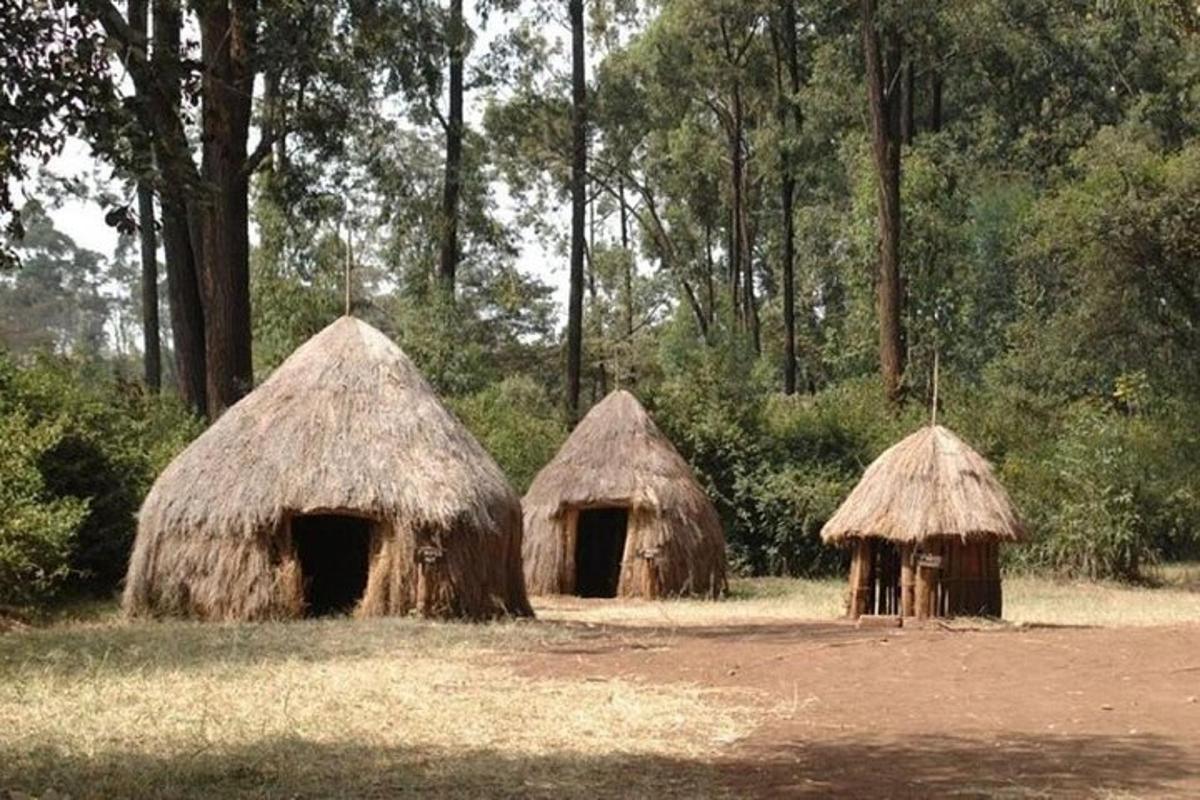 three straw huts in a field with trees