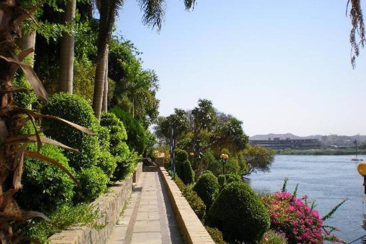 a walkway next to a river with trees and bushes