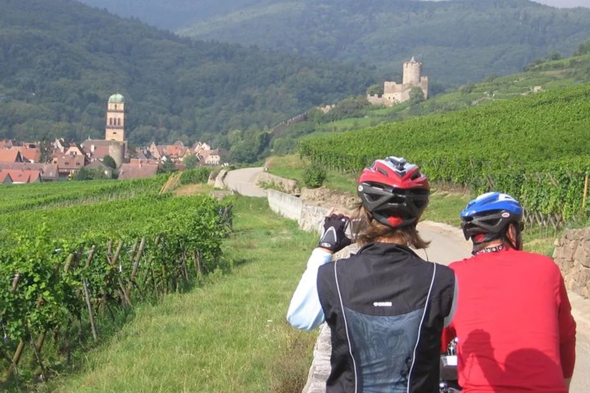 Durch elsässische Weinberge und Weindörfer Private Radtour – Foto 2