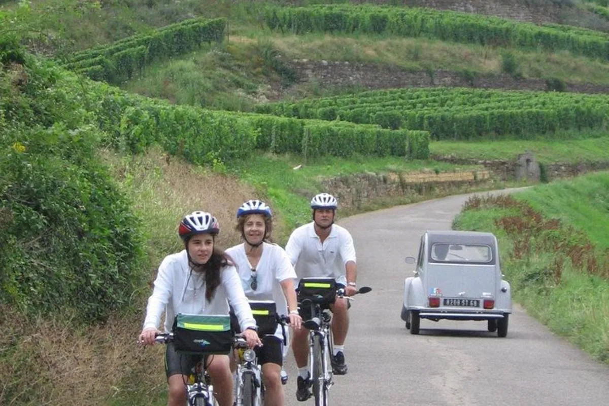 Durch elsässische Weinberge und Weindörfer Private Radtour – Foto 3