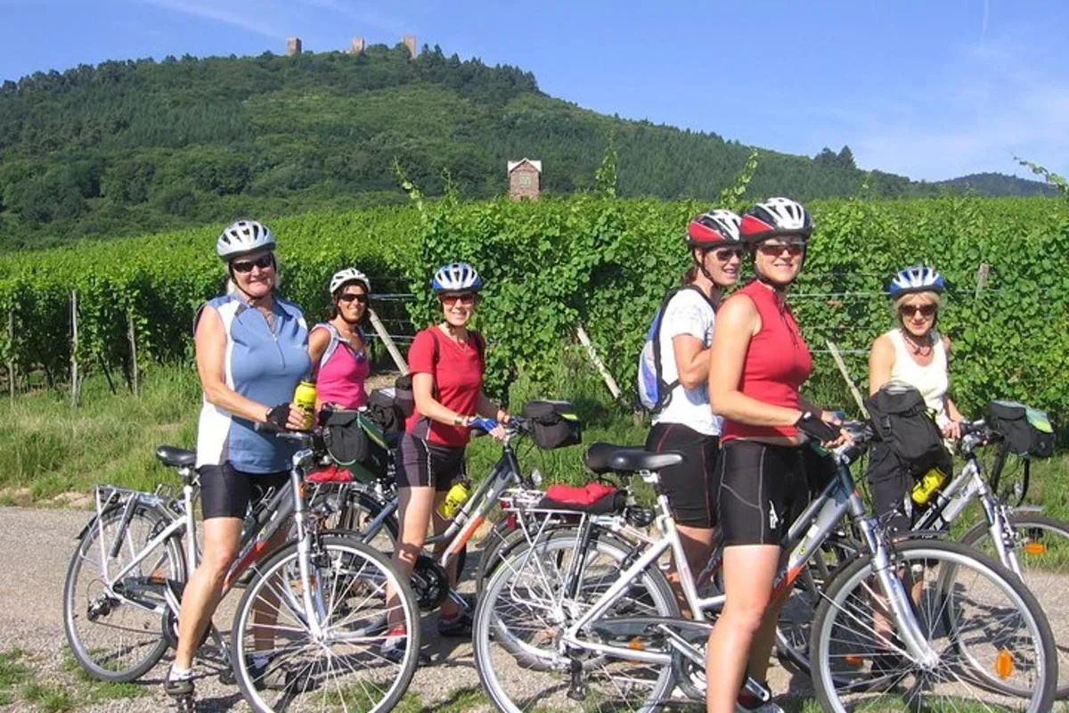 Visite privée à vélo des vignobles d'Alsace et des villages viticoles – photo 4