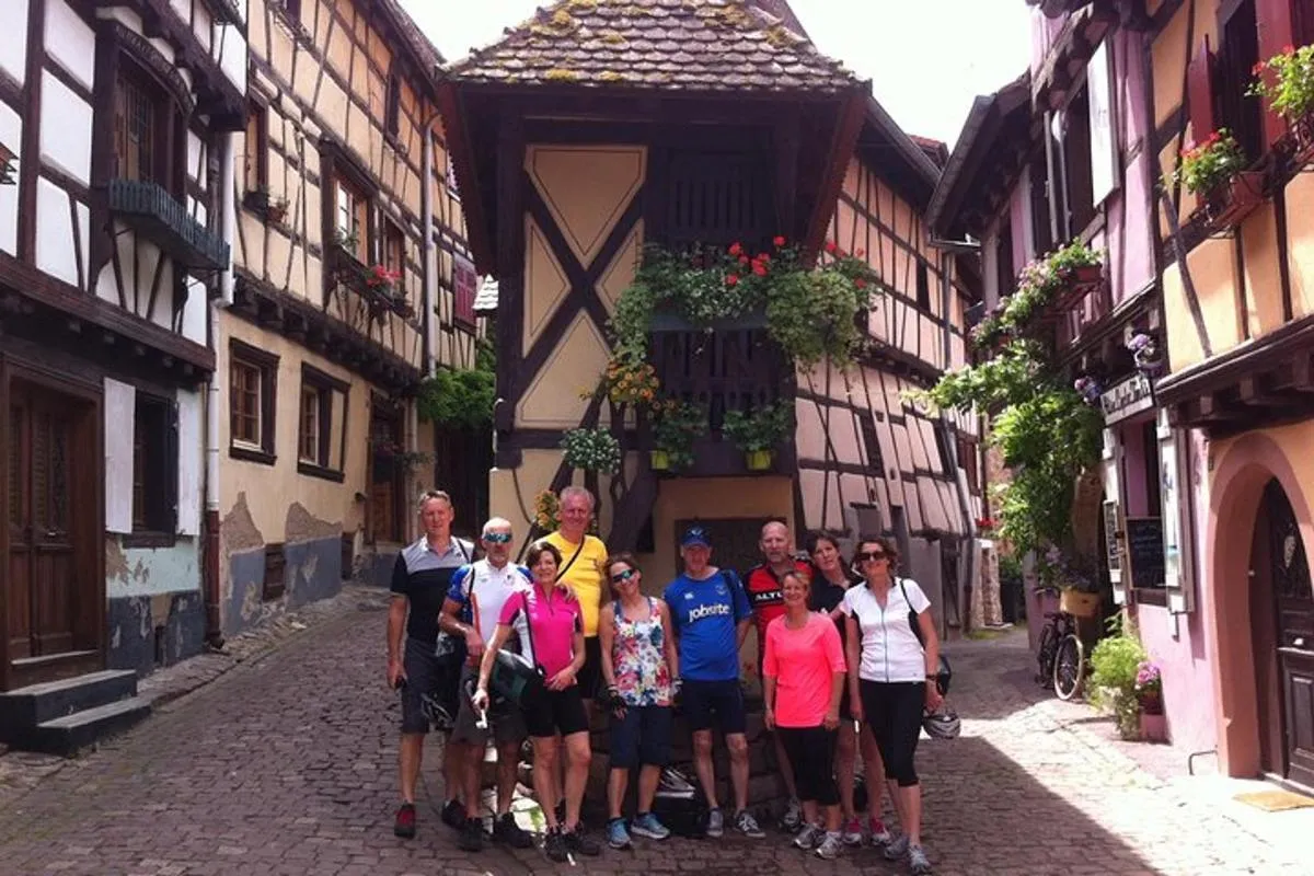 Durch elsässische Weinberge und Weindörfer Private Radtour – Foto 5