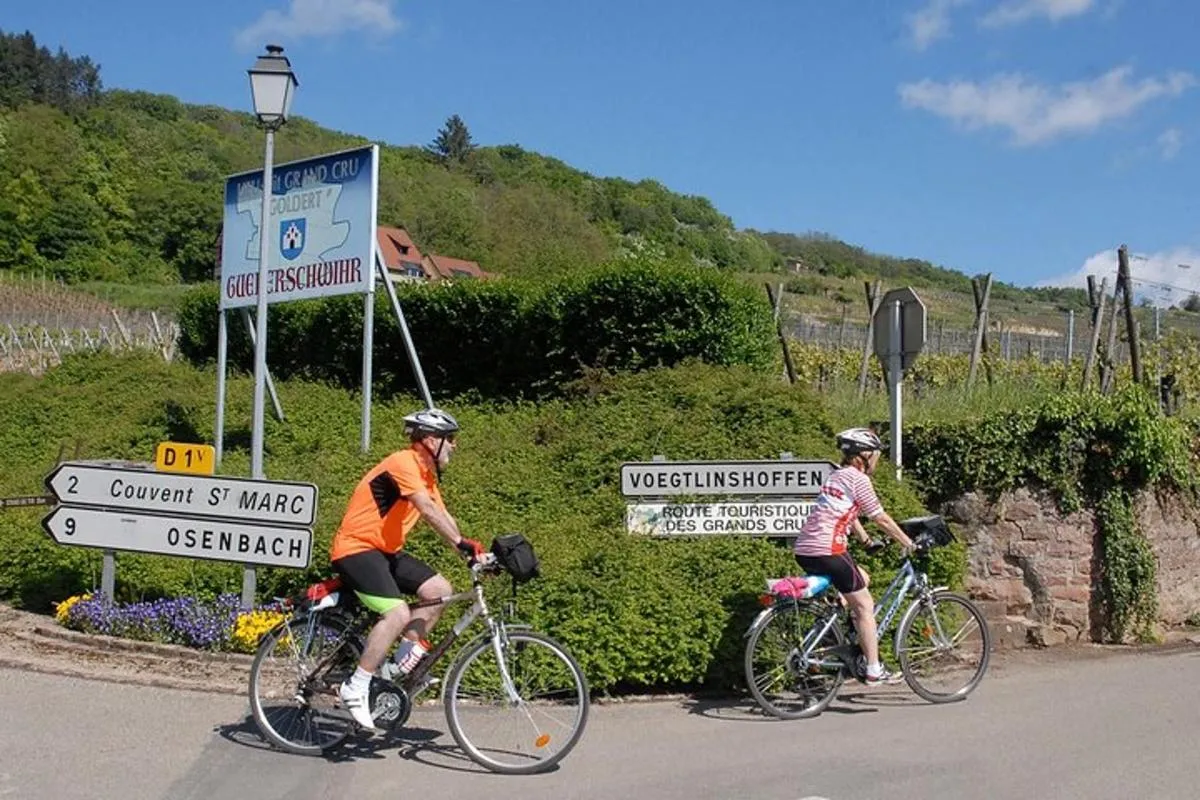 Visite privée à vélo des vignobles d'Alsace et des villages viticoles – photo 6