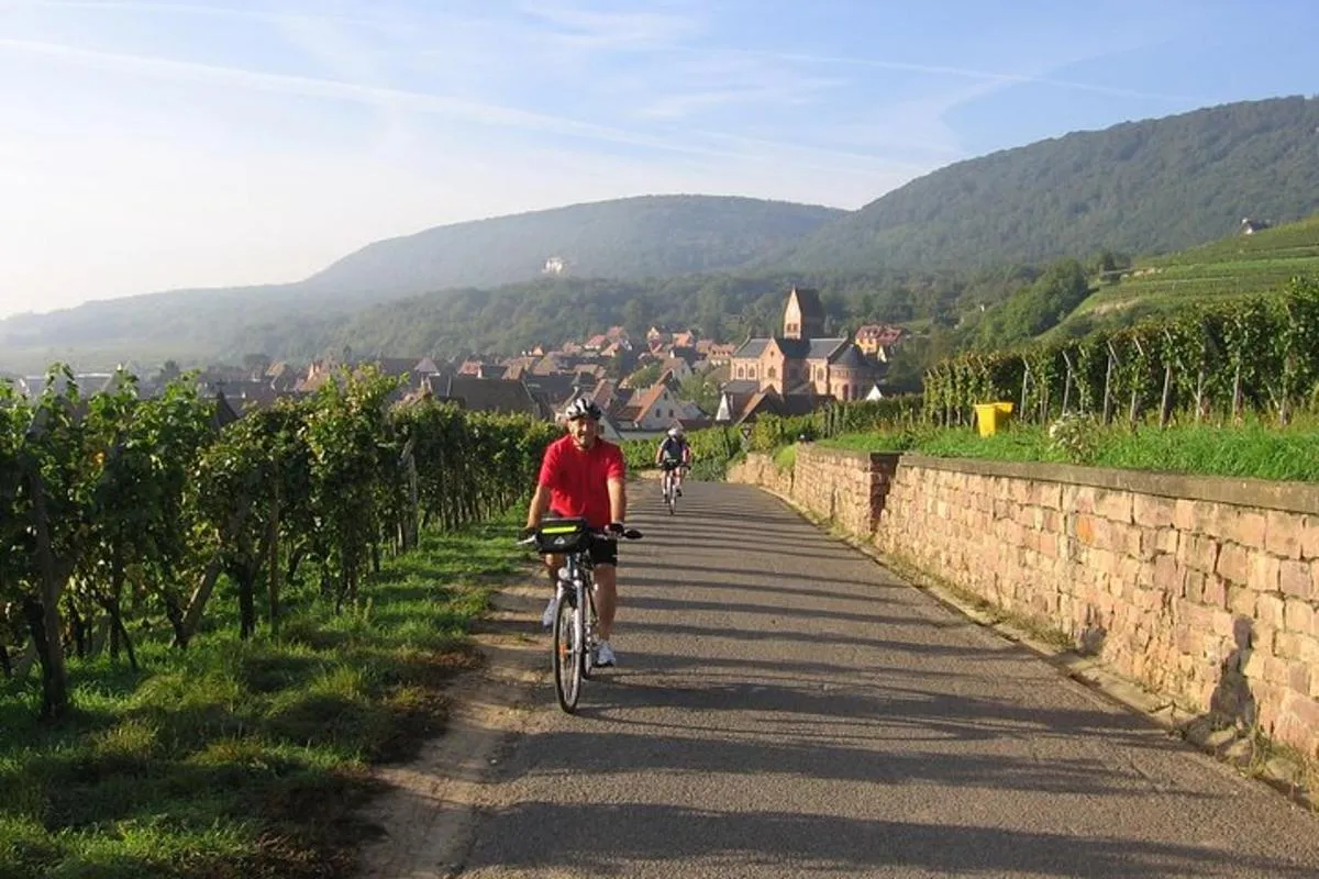 Visite privée à vélo des vignobles d'Alsace et des villages viticoles – photo 7
