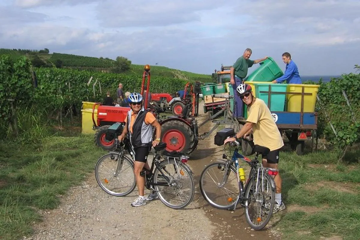 Visite privée à vélo des vignobles d'Alsace et des villages viticoles – photo 8