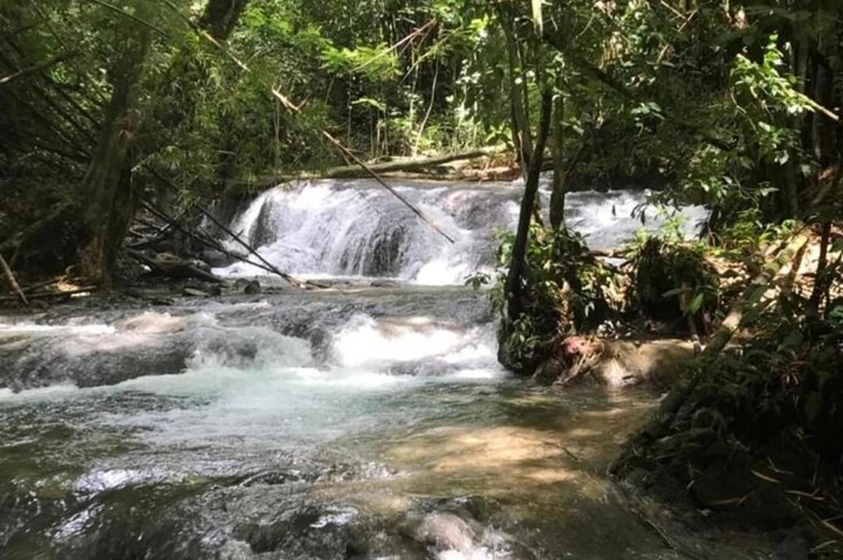 водопад усред потока у шуми