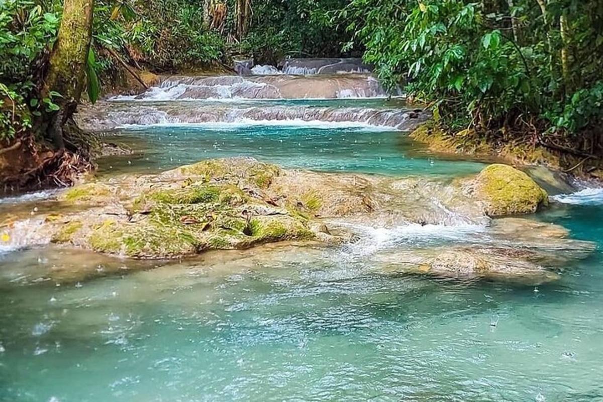 поток воде са камењем у шуми