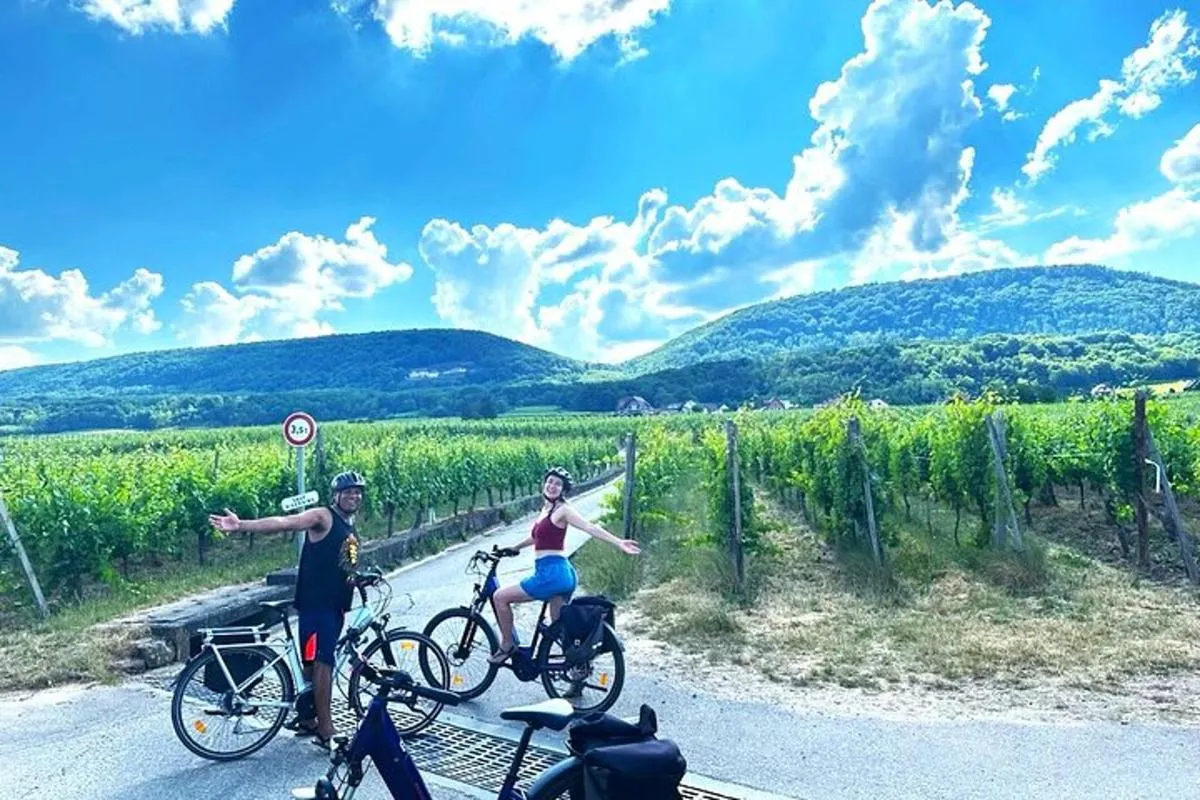 Visite privée à vélo des vignobles d'Alsace et des villages viticoles – photo 9