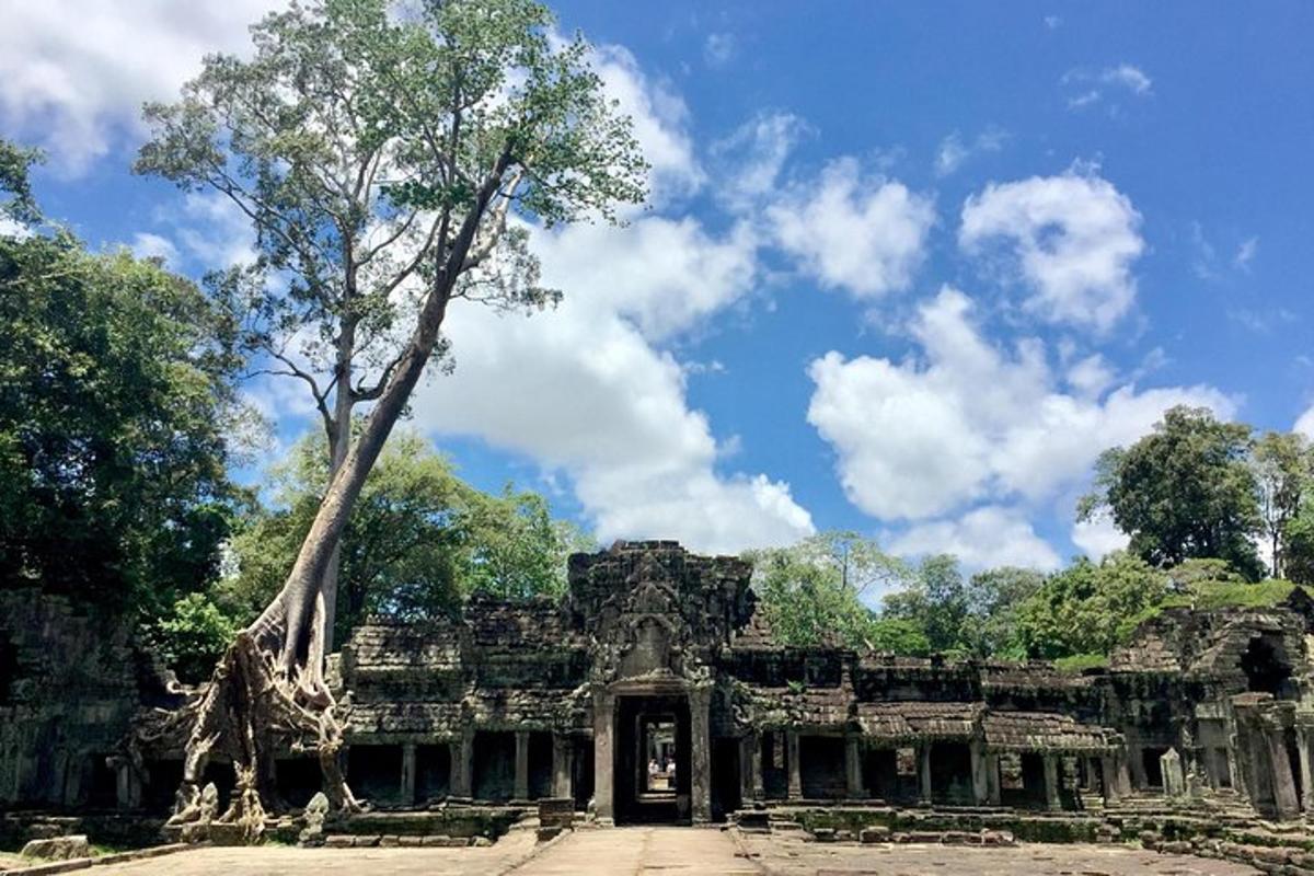 một tòa nhà có một cái cây ở phía trước