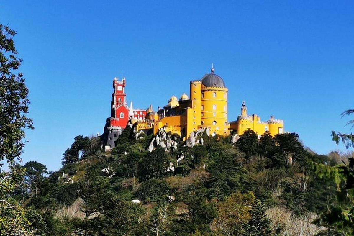 hrad na vrcholu kopce se stromy