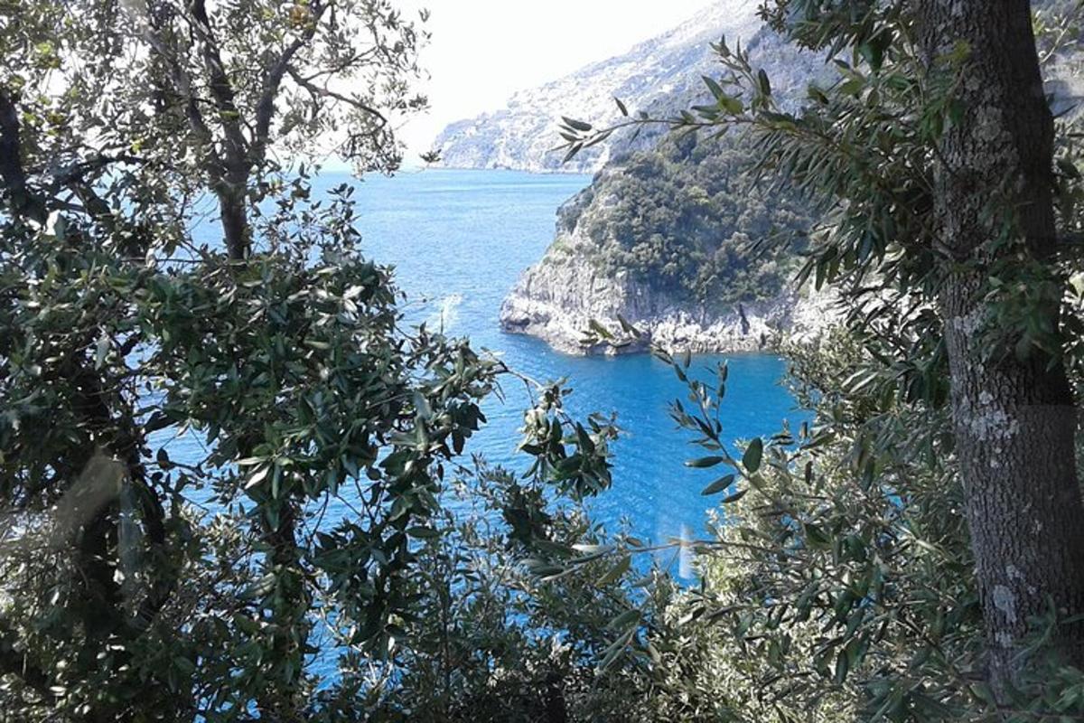 une vue d'un plan d'eau entre les arbres