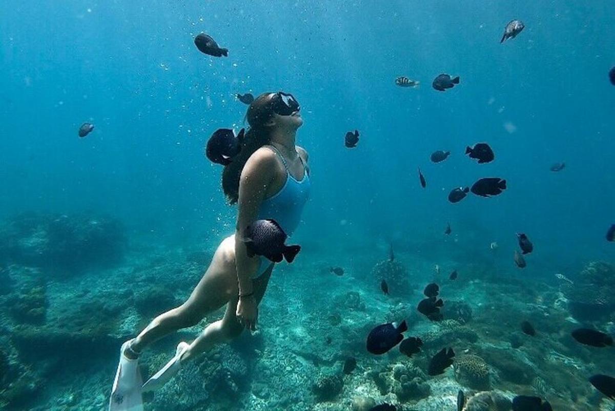 dua wanita sedang menyelam di laut dengan ikan
