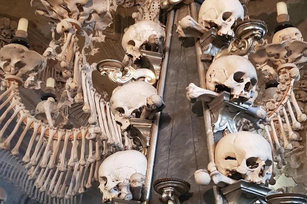 un mucchio di scheletri appesi a un muro