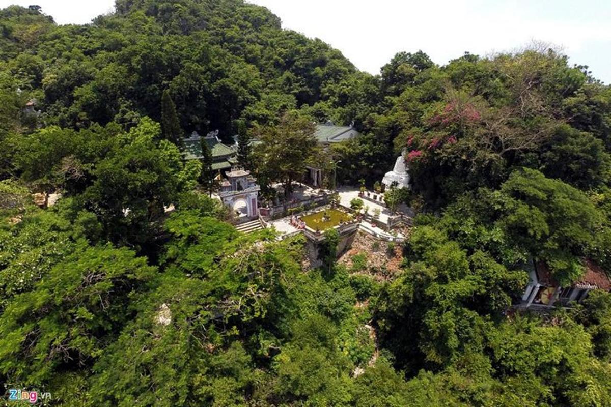 an aerial view of a mansion in the trees