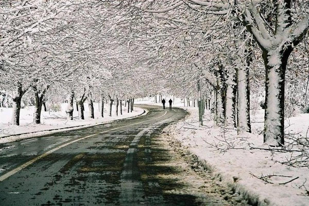 雪に覆われた道路とそこを歩く人々
