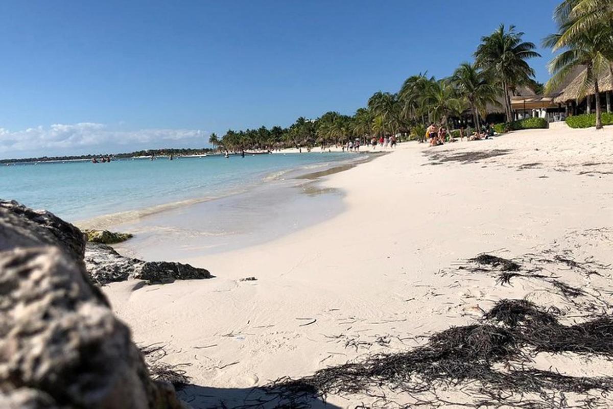 palmipuude ja vee peal olevate inimestega rand