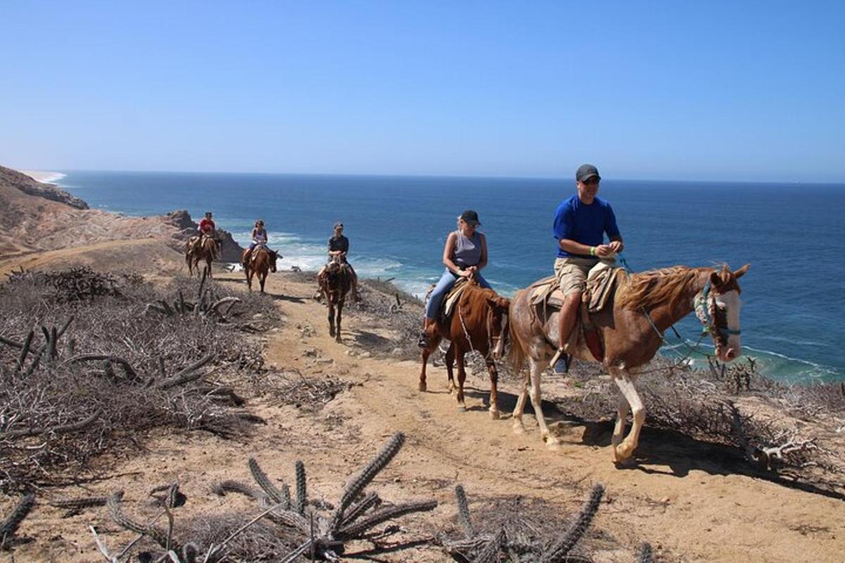 un gruppo di persone a cavallo su un sentiero vicino all'oceano