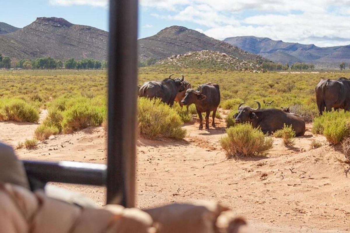 una mandria di animali in piedi in un campo