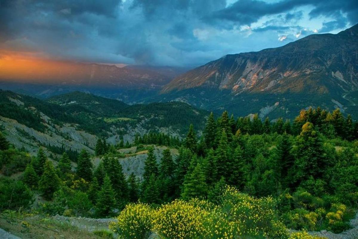 a view of a valley with trees and mountains
