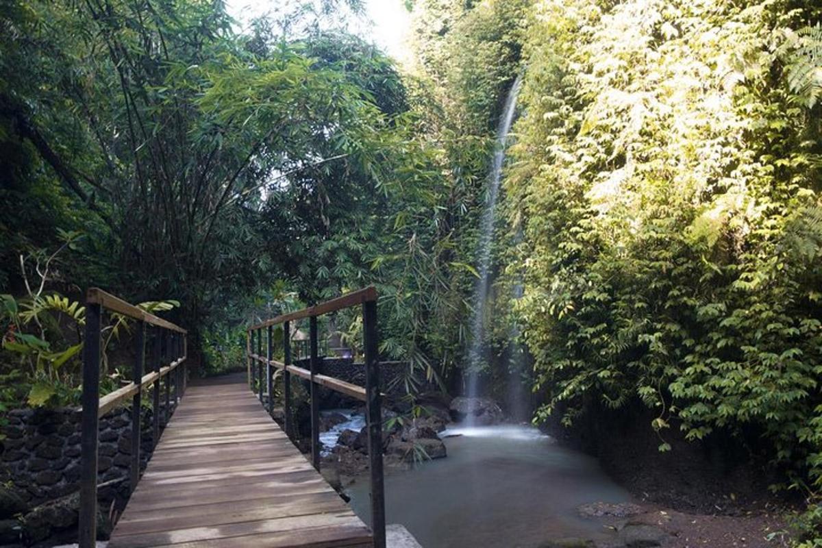a wooden bridge over a stream with a waterfall