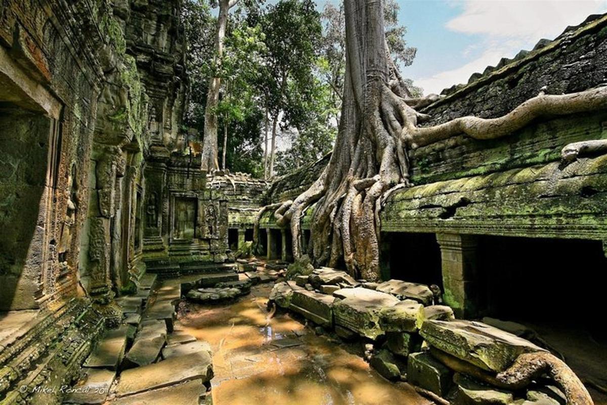 un edificio con alberi che crescono ai lati