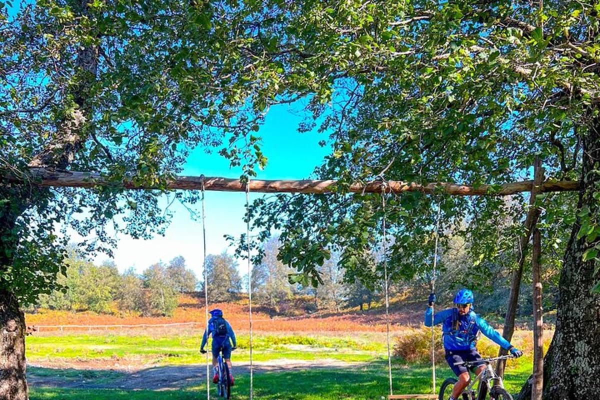 due persone in bicicletta su un'altalena