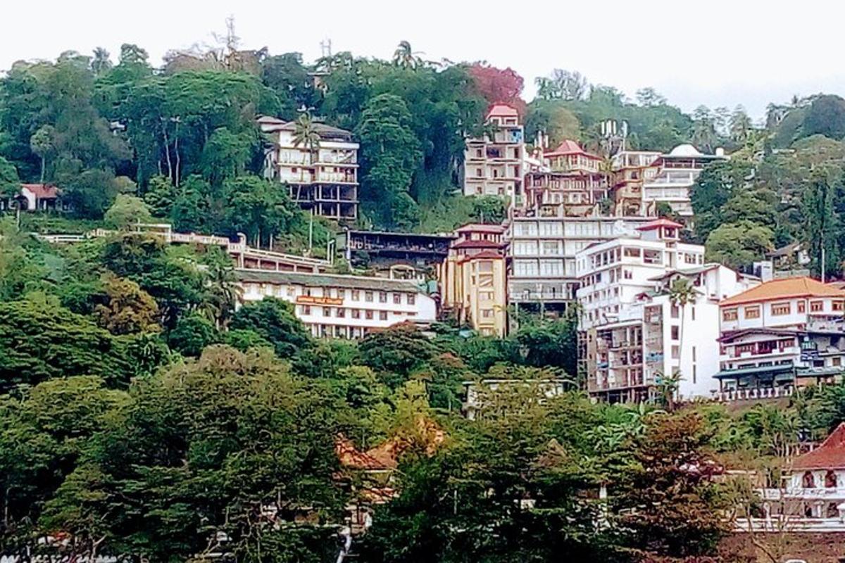 a group of buildings on a hill with trees