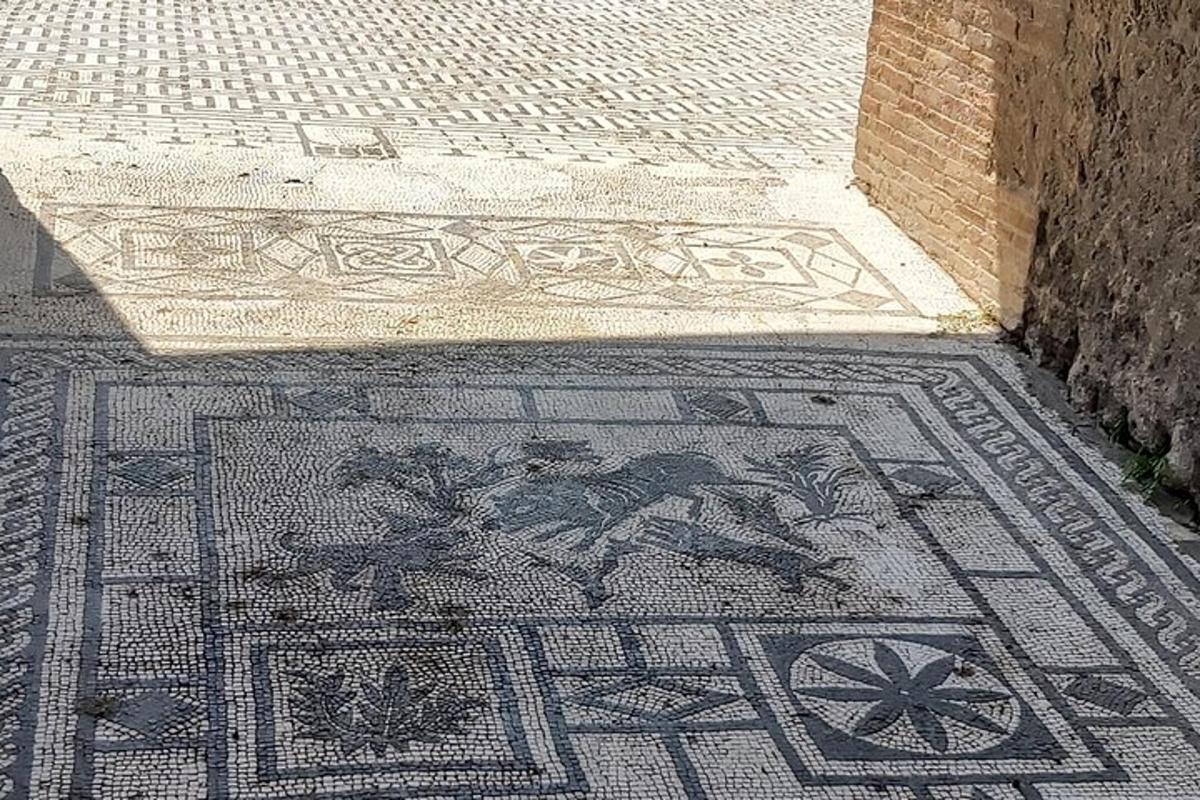 um piso de mosaico em um edifício com uma mosaicoração de um piso com um mosaico
