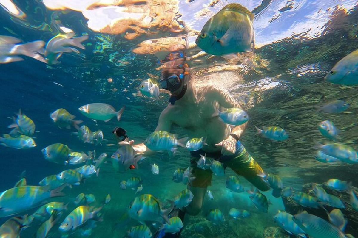 un homme dans l'eau avec un groupe de poissons