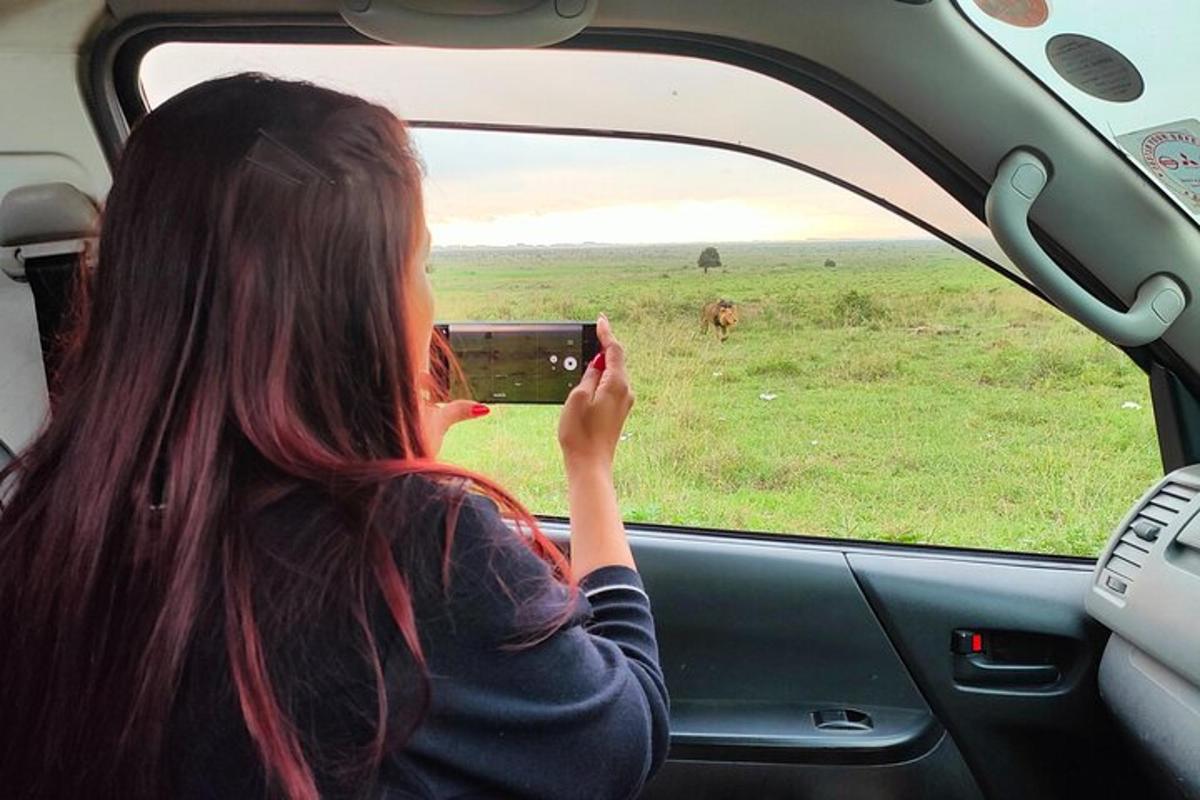 seorang wanita mengambil gambar singa dari tingkap kereta