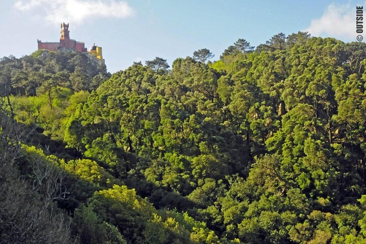 um castelo no topo de uma colina com árvores
