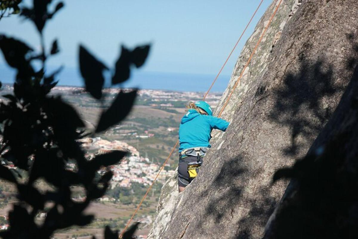 ein Mann klettert mit Fledermäusen eine Felswand hinauf