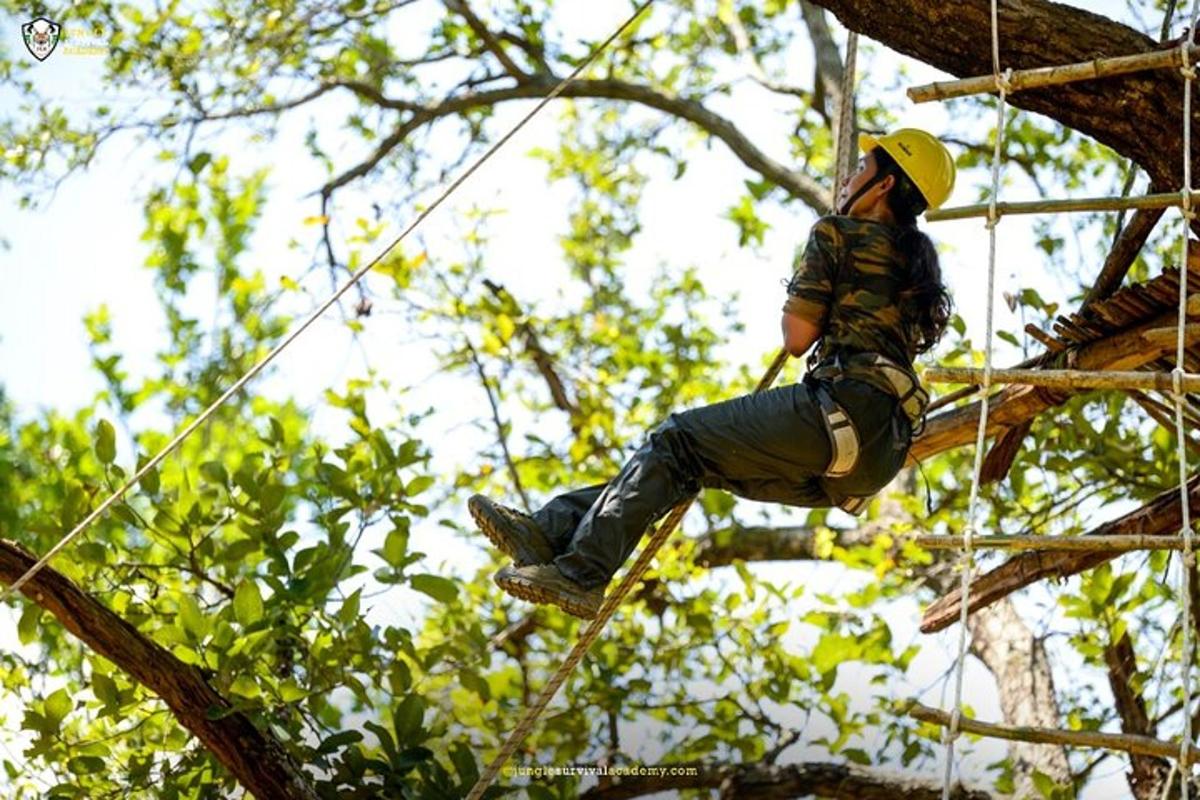 seorang lelaki sedang memanjat pokok