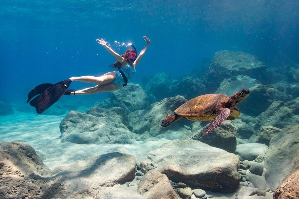 uma mulher nadando na água com duas tartarugas