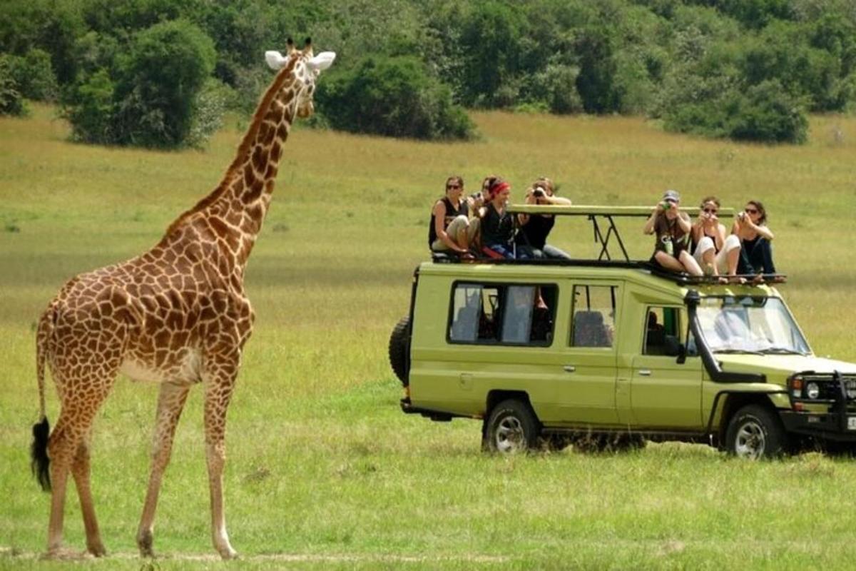 una giraffa in piedi accanto a un veicolo con delle persone