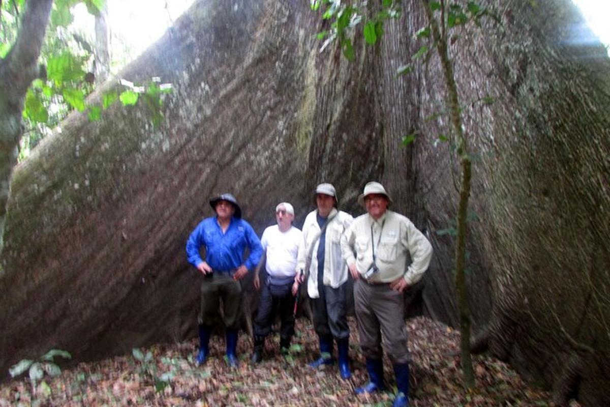 a group of people standing in front of a tree