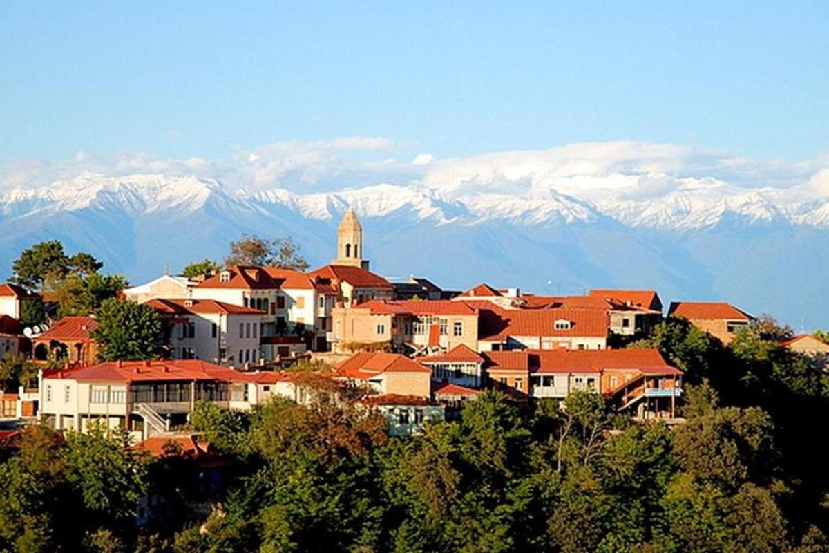 mesto na hribu z gorami v ozadju