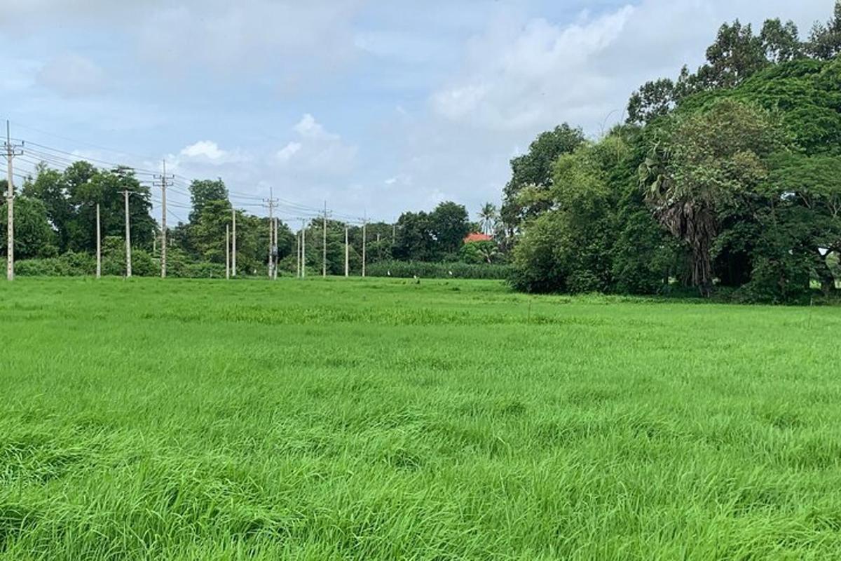 lapangan rumput hijau yang luas dengan pepohonan di latar belakang