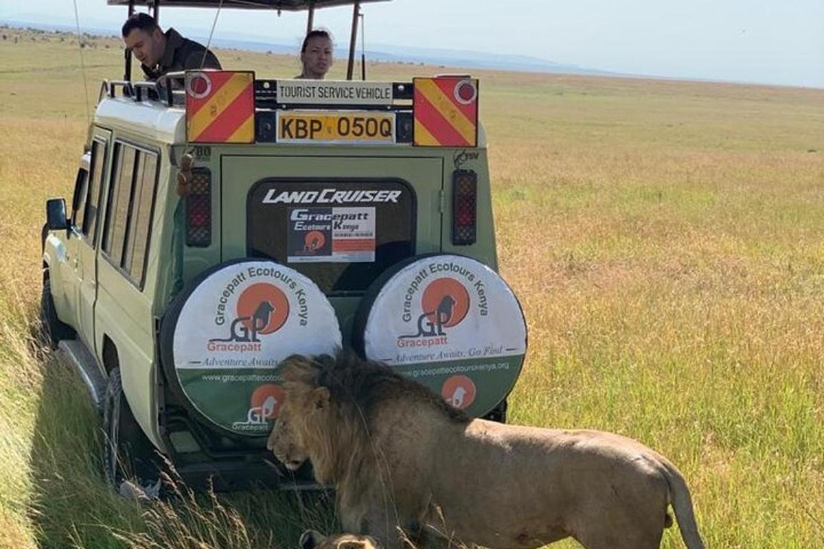 due uomini in una jeep in un campo con un toro