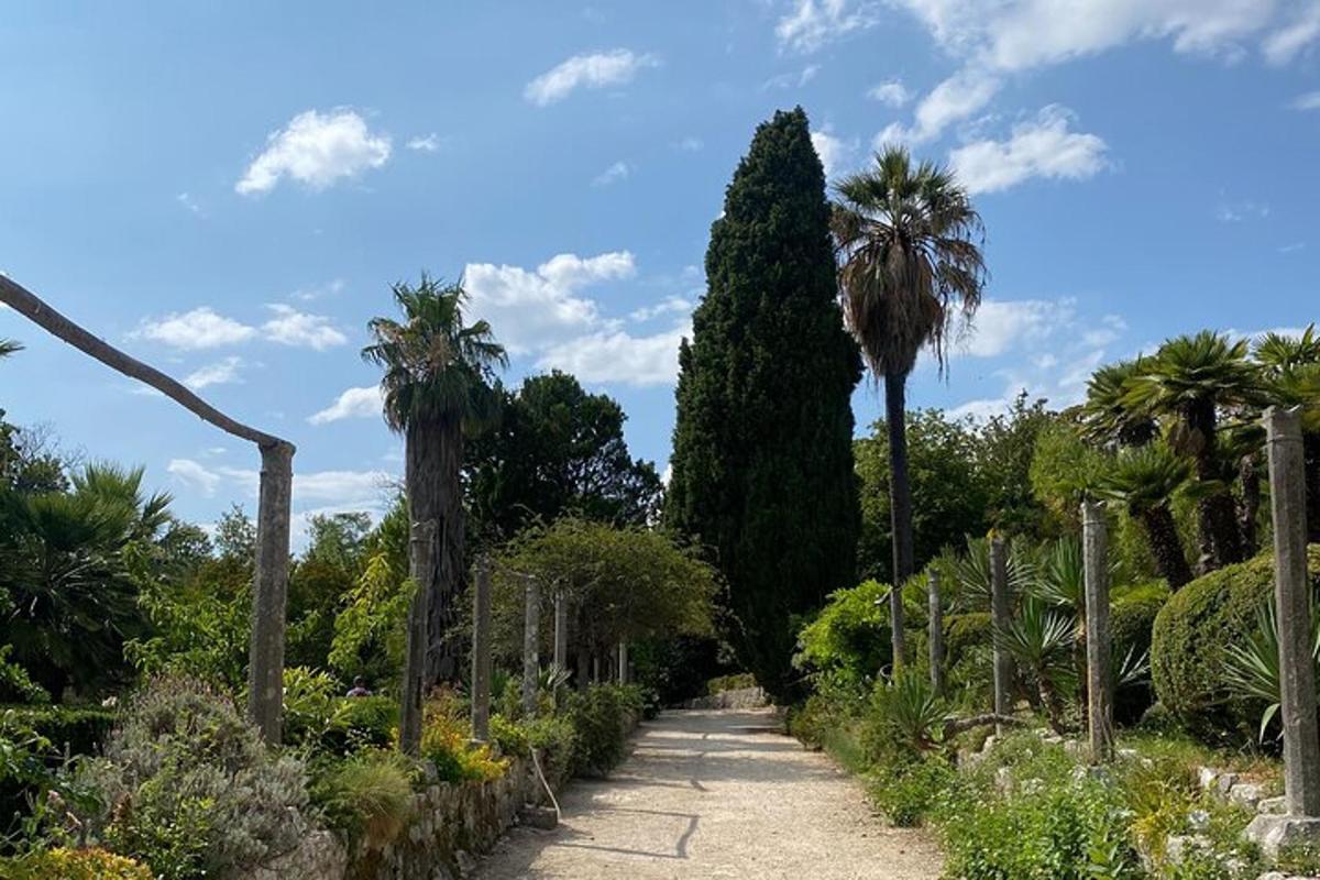 ένας κήπος με φοίνικες και ένα μονοπάτι