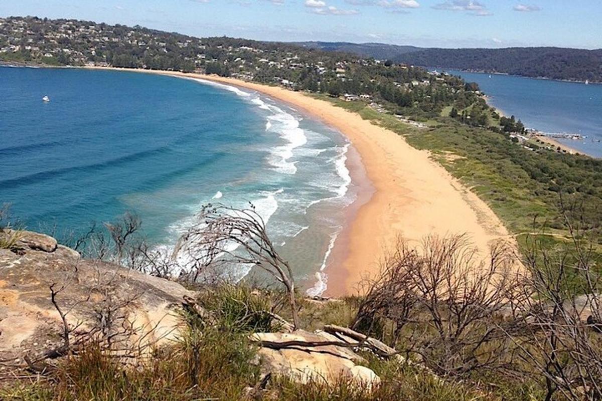 una vista di una spiaggia con l'oceano
