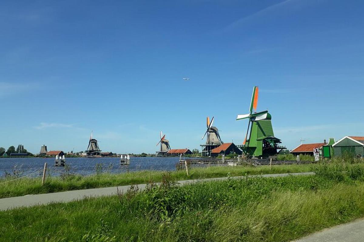 a group of windmills and houses on the water