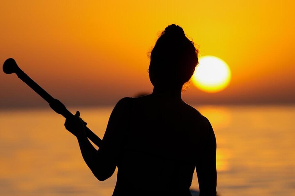 seorang wanita memegang kayu besbol pada waktu matahari terbenam
