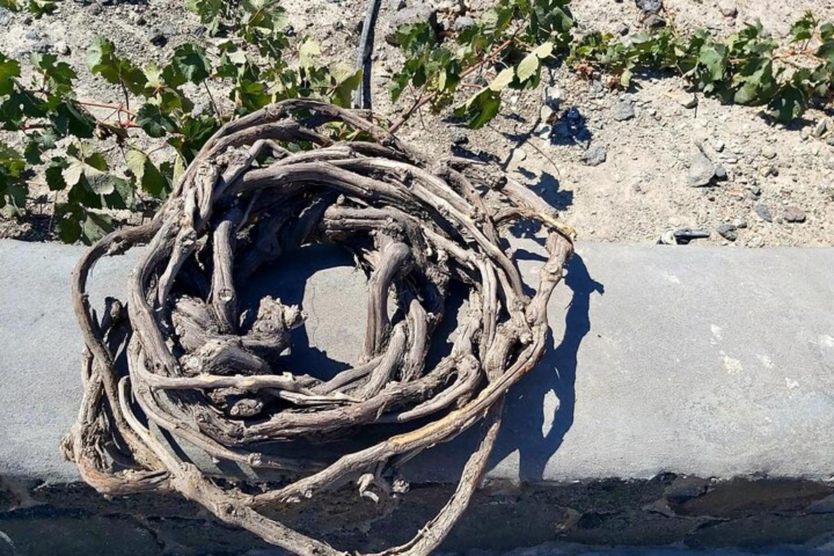 a bundle of rope sitting on the ground