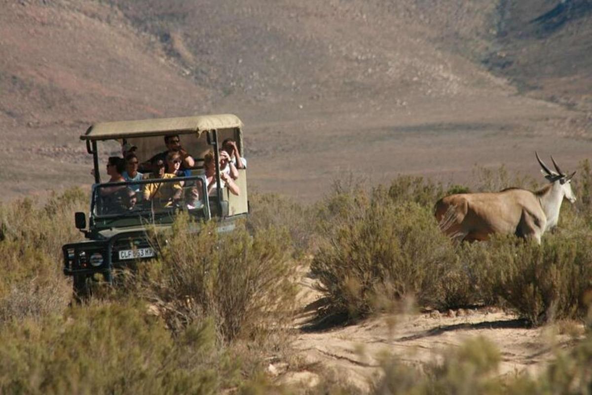 a group of people in a safari vehicle with an antelope