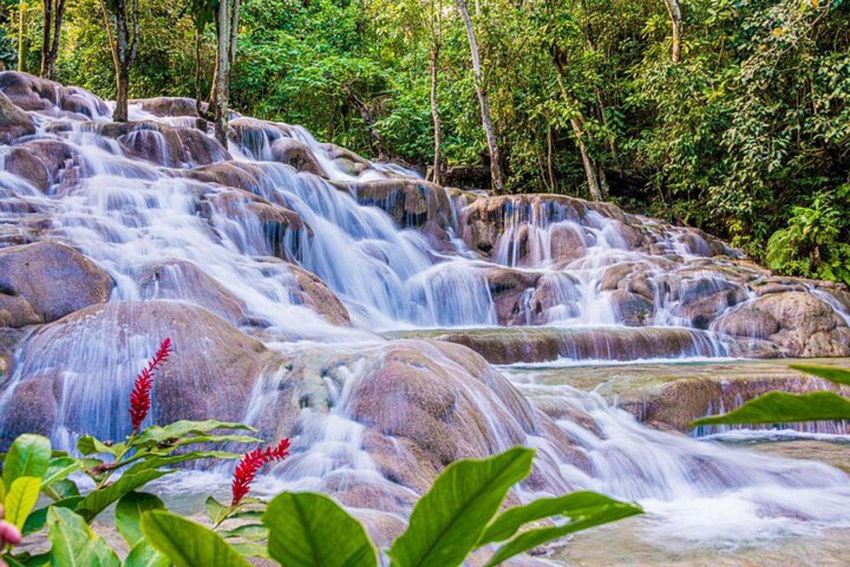 Una cascada en la selva con flores rojas en primer plano.
